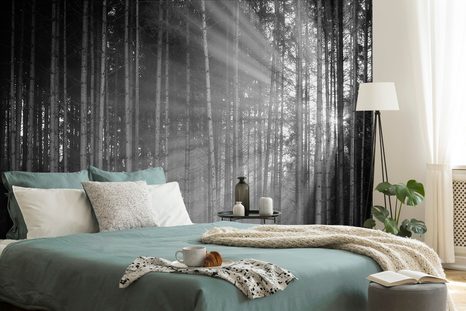 FOTÓTAPÉTA NAPSUGARAK A FÁK MÖGÖTT FEKETE FEHÉRBEN - FEKETE-FEHÉR TAPÉTÁK - TAPÉTÁK