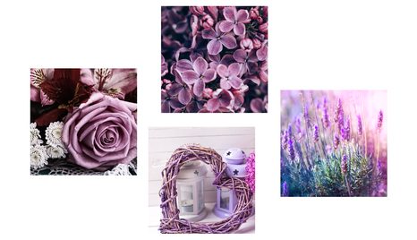 SET OBRAZŮ NÁDHERNÉ FIALOVÉ KVĚTINY SE SRDÍČKEM - SESTAVY OBRAZŮ - OBRAZY