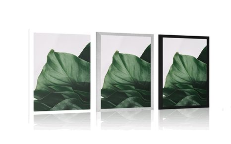 POSTER ENCHANTING MONSTERA LEAF - FLOWERS - POSTERS