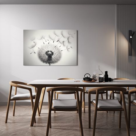 OBRAZ ČERNOBÍLÁ PAMPELIŠKA - OBRAZY PAMPELIŠKA - OBRAZY