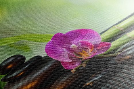 OBRAZ FENG SHUI HARMONIE - OBRAZY FENG SHUI - OBRAZY