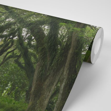 FOTOTAPETA CESTIČKA ZAHALENÁ ZELENÍ - TAPETY PŘÍRODA - TAPETY