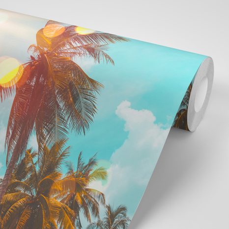 CARTA DA PARATI AUTOADESIVA – RAGGI DI SOLE TRA LE PALME - CARTA DA PARATI - 🔥 SVENDITA TOTALE