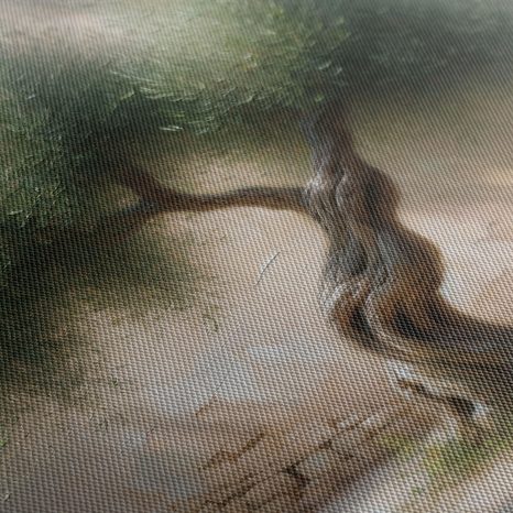 OBRAZ STARÝ OLIVOVNÍK VE STŘEDOMOŘÍ - OBRAZY STROMY A LISTY - OBRAZY