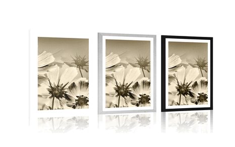 POSTER – FIORI DA GIARDINO IN SEPPIA - NERO E BIANCO - POSTER