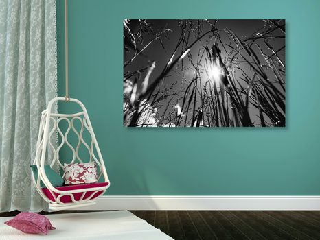 OBRAZ TRAWA POLNA W WERSJI CZARNO-BIAŁEJ - OBRAZY CZARNO-BIAŁE - OBRAZY