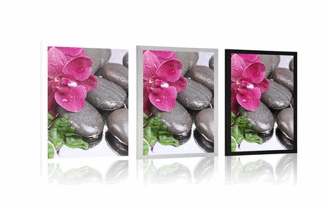 PLAKÁT KVETOUCÍ ORCHIDEJ A WELLNESS KAMENY - FENG SHUI - PLAKÁTY