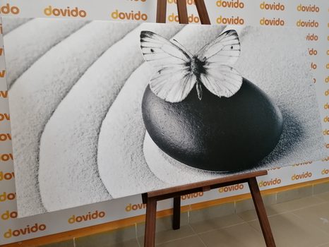QUADRO SU TELA – PIETRA ZEN CON FARFALLA IN BIANCO E NERO - QUADRI BIANCO E NERO - STAMPE E QUADRI