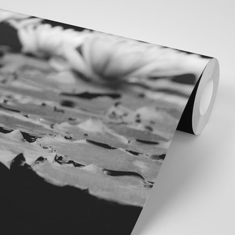 FOTOTAPETA ČERNOBÍLÝ LOTOSOVÝ KVĚT - ČERNOBÍLÉ TAPETY - TAPETY