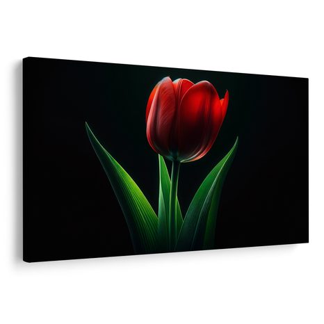 OBRAZ ČERVENÁ TULIPÁNOVÁ ELEGANCE - OBRAZY TULIPÁN - OBRAZY