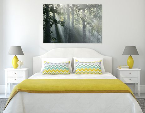 SLIKA SONČNI ŽARKI V MEGLENEM GOZDU - SLIKE NARAVE IN POKRAJINE - SLIKE