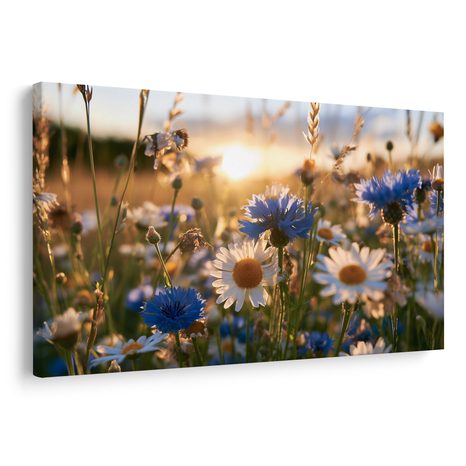 CANVASTAVLA ÄNGSBLOMMOR I SOLNEDGÅNG - BLOMTAVLOR - TAVLOR