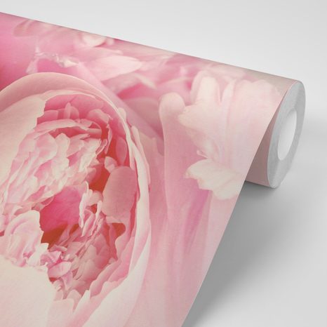 PAPIER PEINT – PÉTALES DE FLEUR - 🔥 VENTE TOTALE