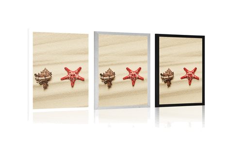 POSTER MUSCHELN AM SANDSTRAND - STILLLEBEN - POSTER