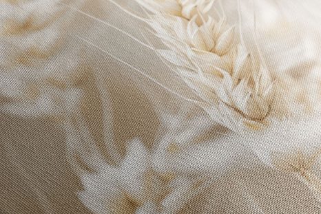 OBRAZ STEBLÁ PŠENICE - OBRAZY TRÁVY - OBRAZY