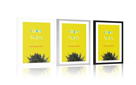 PLAGÁT S PASPARTOU ZÁZRAČNÁ ALOE VERA - MOTÍVY Z NAŠEJ DIELNE - PLAGÁTY