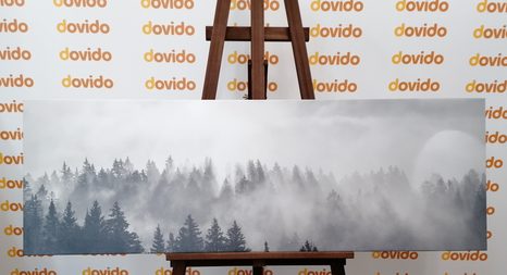 WANDBILD NEBEL ÜBER DEM WALD IN SCHWARZ-WEISS - SCHWARZ-WEISSE BILDER - BILDER