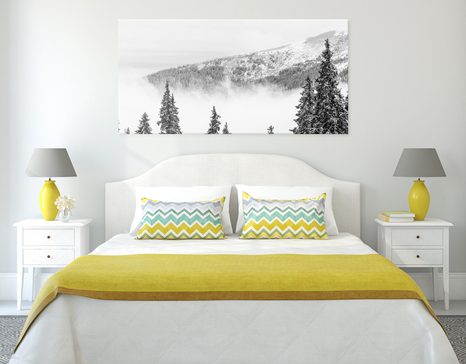 ΕΙΚΌΝΑ ΑΠΌ ΧΙΟΝΙΣΜΈΝΑ ΠΕΎΚΑ ΣΕ ΜΑΎΡΟ & ΆΣΠΡΟ - ΠΊΝΑΚΕΣ ΑΣΠΡΌΜΑΥΡΕΣ - ΠΊΝΑΚΕΣ