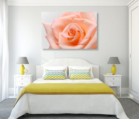 QUADRO SU TELA – ROSE IN TONALITÀ PESCA - QUADRI DI FIORI - STAMPE E QUADRI
