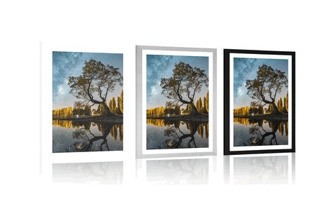 POSTER CU PASSEPARTOUT COPAC SUB CERUL ÎNSTELAT - NATURĂ - POSTERE