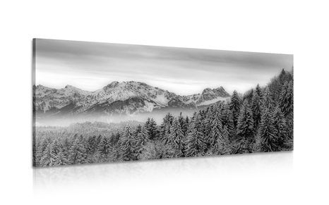 CANVAS PRINT FROZEN MOUNTAINS IN BLACK AND WHITE - BLACK AND WHITE PICTURES - PICTURES