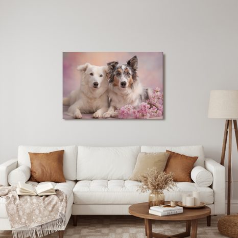 OBRAZ PSI PŘÁTELSTVÍ V KVĚTECH - OBRAZY PSI - OBRAZY