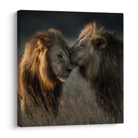 OBRAZ MAJESTÁTNÍ SÍLA PŘÍRODY - OBRAZY LVI A TYGŘI - OBRAZY