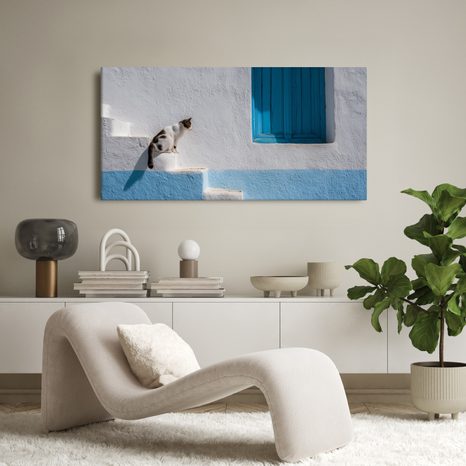 OBRAZ KLIDNÁ KOČKA U OKNA - OBRAZY KOČKY - OBRAZY