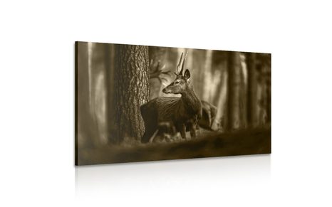 TABLOU CERBUL ÎN PĂDURE DE PINI ÎN SEPIA - TABLOURI ALB-NEGRU - TABLOURI