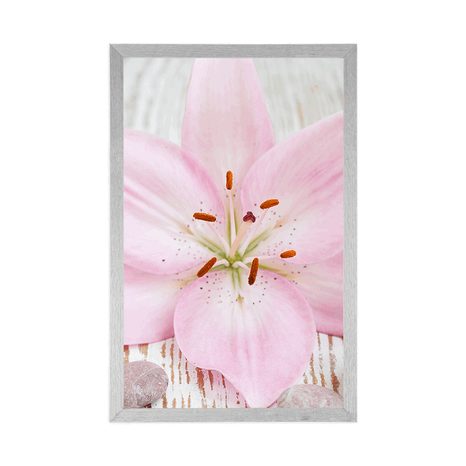 PLAGÁT RUŽOVÁ ĽALIA A ZEN KAMENE - FENG SHUI - PLAGÁTY