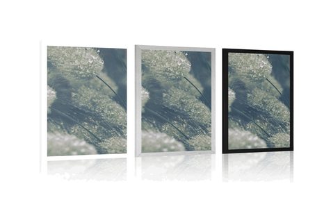 PLAKÁT KAPKY ROSY NA TRÁVĚ - PŘÍRODA - PLAKÁTY