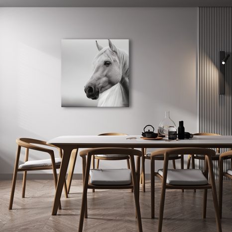 WANDBILD MAJESTÄTISCHES WEISSES PFERD - BILDER VON PFERDEN - BILDER