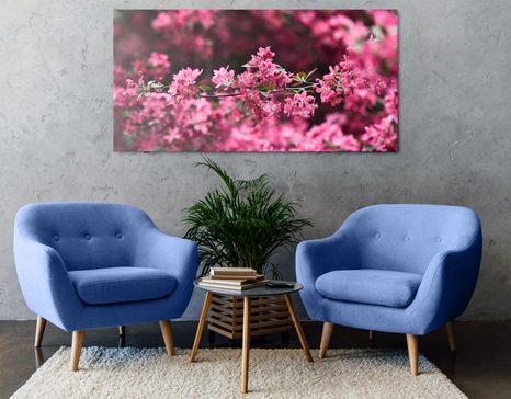 WANDBILD DETAILLIERTE KIRSCHBAUMBLÜTEN - BILDER BLUMEN - BILDER