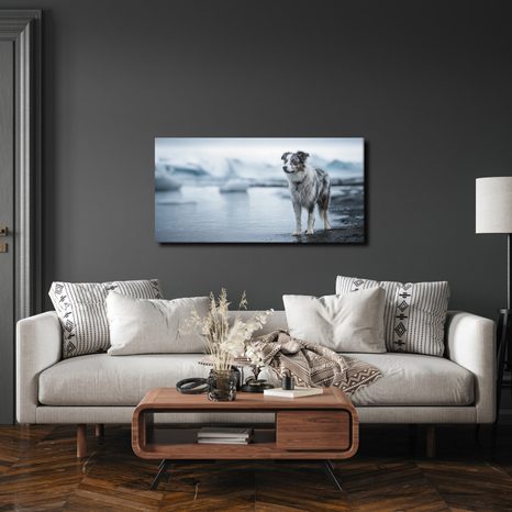 OBRAZ ZASNĚŽENÁ KRAJINA SE PSEM - OBRAZY PSI - OBRAZY