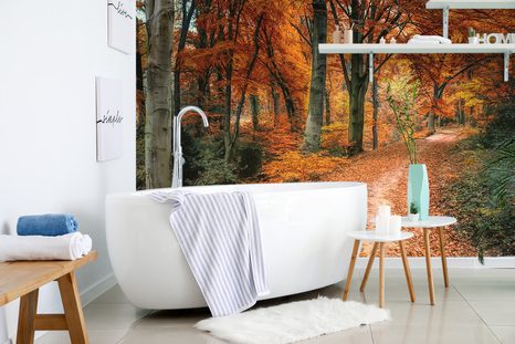 FOTOTAPETE WALD IN DER HERBSTZEIT - TAPETEN MIT NATURMOTIVEN - TAPETEN