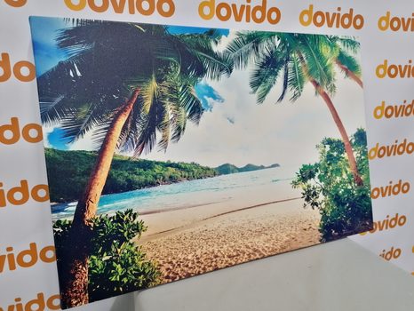 TABLEAU SUR TOILE – COUCHER DE SOLEIL SUR L'ÎLE DES SEYCHELLES - TABLEAUX DE LA NATURE ET DES PAYSAGES - TABLEAUX