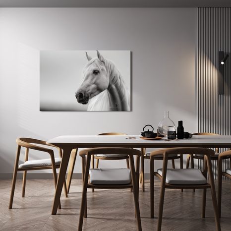 WANDBILD WEISSES PFERD IM NEBEL - BILDER VON PFERDEN - BILDER