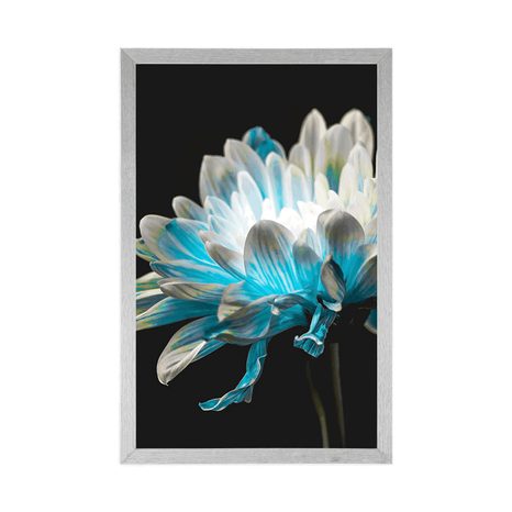 AFFICHE – MARGUERITE SUR FOND NOIR - FLEURS - AFFICHES
