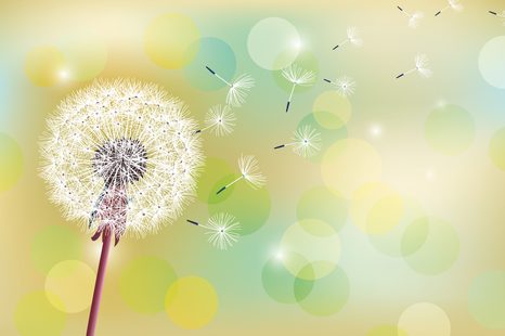 CARTA DA PARATI – SOFFIONE GIALLO SU SFONDO ASTRATTO - CARTA DA PARATI TARASSACO - CARTA DA PARATI