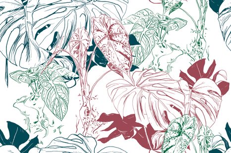 SELBSTKLEBENDE TAPETE BUNTE BLÄTTER DER MONSTERA - SELBSTKLEBENDE TAPETEN - TAPETEN