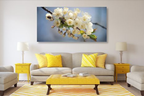 WANDBILD BLÜHENDER KIRSCHBLÜTENZWEIG - BILDER BLUMEN - BILDER