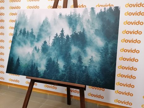 OBRAZ HORY V MLZE - OBRAZY PŘÍRODY A KRAJINY - OBRAZY