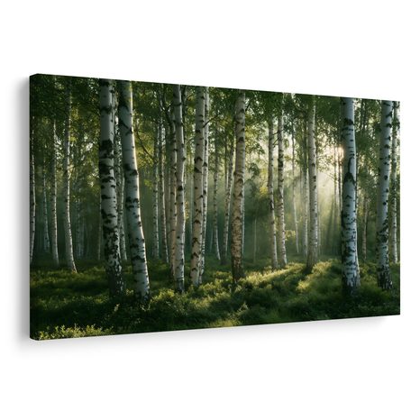 TABLEAU SUR TOILE – FORÊT DE BOULEAUX À L’AUBE - TABLEAUX FORÊT - TABLEAUX