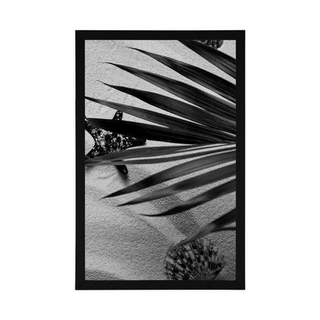 POSTER MUSCHELN UNTER PALMENBLÄTTERN IN SCHWARZ-WEISS - SCHWARZ-WEISS - POSTER