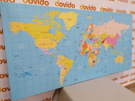 ΕΙΚΌΝΑ ΣΕ ΧΆΡΤΗ ΑΠΌ ΦΕΛΛΌ ΣΕ ΜΠΛΕ ΦΌΝΤΟ - ΠΊΝΑΚΕΣ ΣΤΟ ΦΕΛΛΌ - ΠΊΝΑΚΕΣ