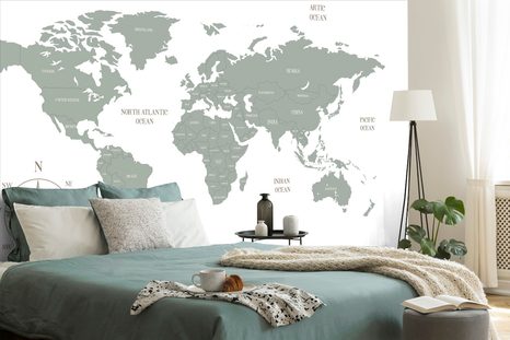 CARTA DA PARATI – MAPPA DISCRETA IN VERDE - CARTA DA PARATI MAPPE - CARTA DA PARATI