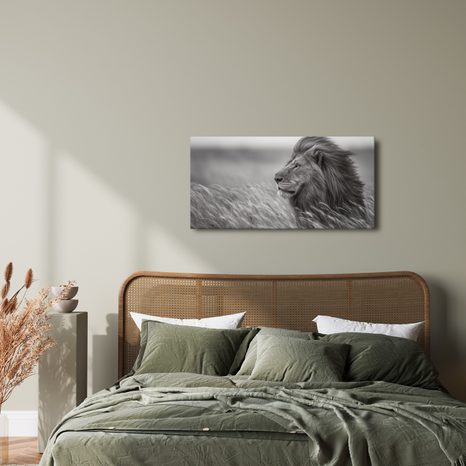 OBRAZ MAJESTÁTNÍ LEV V PŘÍRODĚ - OBRAZY LVI A TYGŘI - OBRAZY