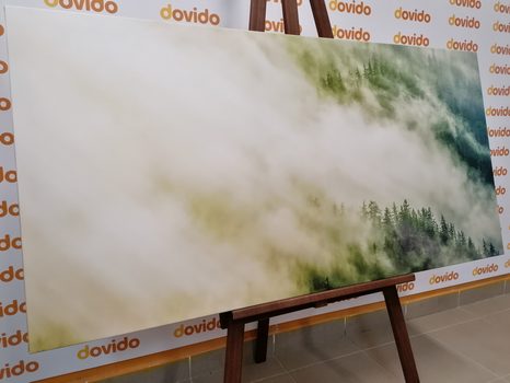 КАРТИНА НА ПЛАТНО – МЪГЛИВА ГОРА - КАРТИНИ НА ПРИРОДАТА И ПЕЙЗАЖИ - КАРТИНИ