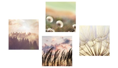 SET OBRAZOV POKOJNÁ KRAJINA S PÚPAVOU - ZOSTAVY OBRAZOV - OBRAZY