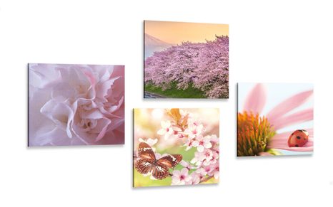 CANVAS PRINT SET BLOOM OF NATURE - SET OF PICTURES - PICTURES